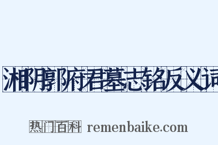 湘阴郭府君墓志铭反义词是什么意思的图片